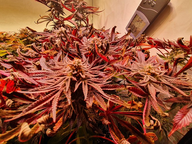 Growreport Bild 10