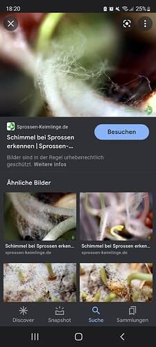 Growreport Bild 9