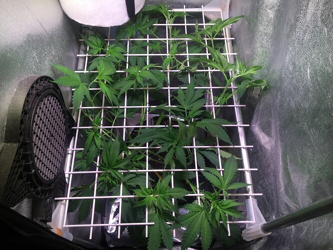 Growreport Bild 11