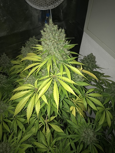 Growreport Bild 18