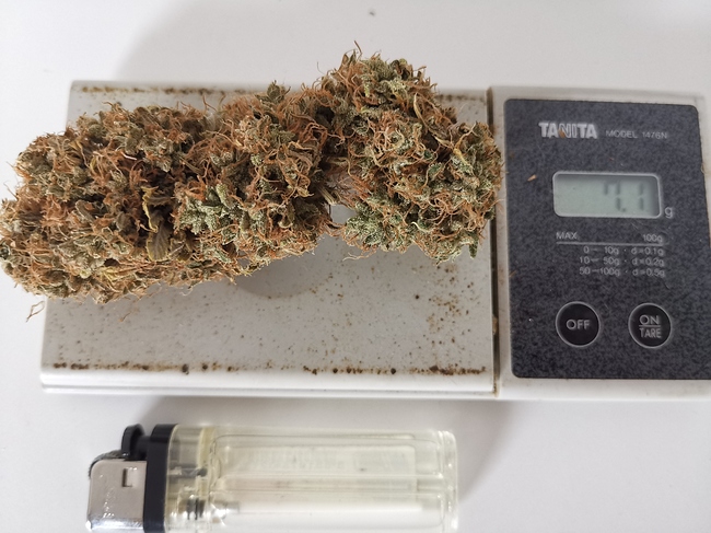 Growreport Bild 6
