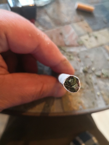 Growreport Bild 13