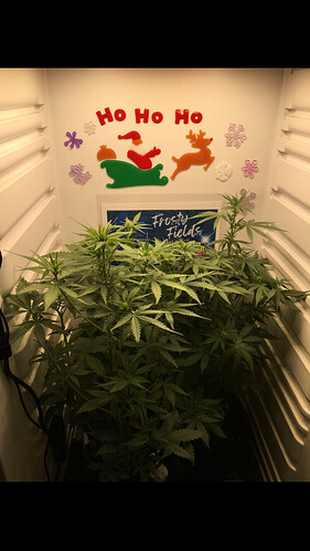 Growreport Bild 12