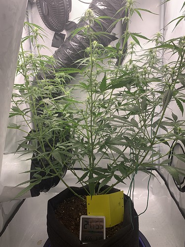 Growreport Bild 20