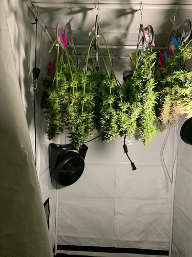 Growreport Bild 1