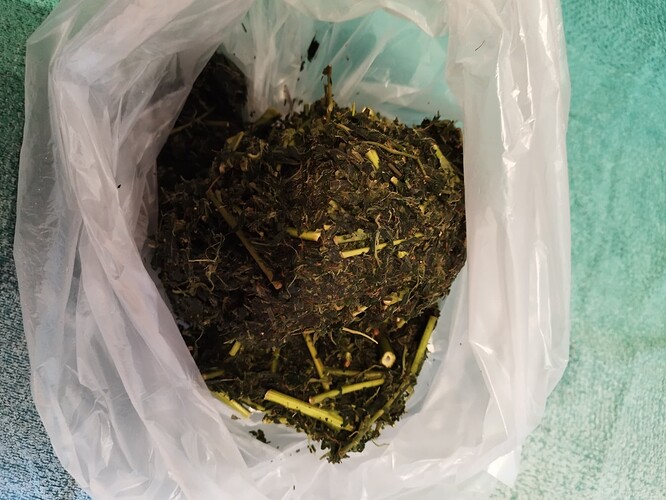 Growreport Bild 9
