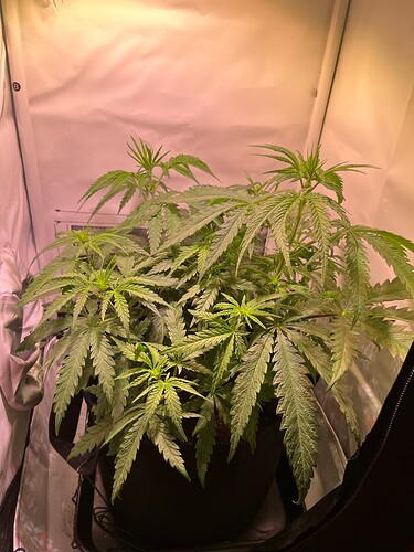 Growreport Bild 5