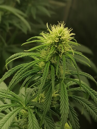 Growreport Bild 11
