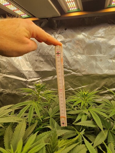 Growreport Bild 1
