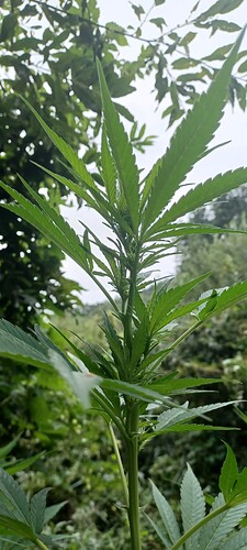 Growreport Bild 7