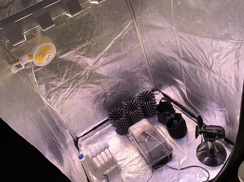 Erster Indoor-Grow Northern Light Q6W Gen2. 400Watt