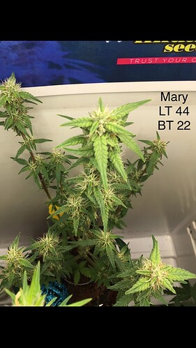 Growreport Bild 20