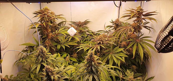 Growreport Bild 16