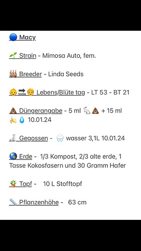 Growreport Bild 3