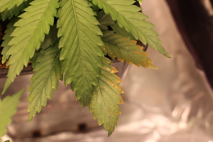 Growreport Bild 9