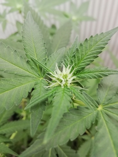 Growreport Bild 21
