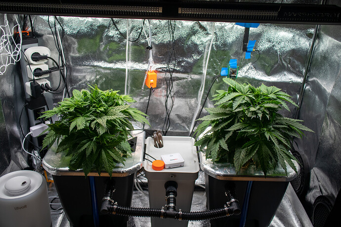 Growreport Bild 9