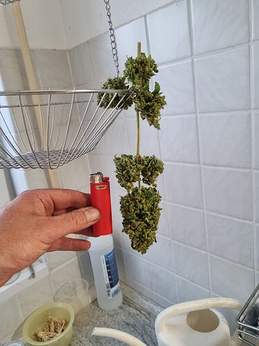 Growreport Bild 1