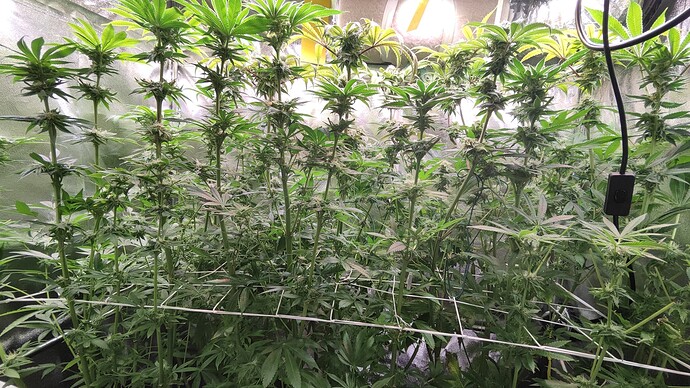 Growreport Bild 22