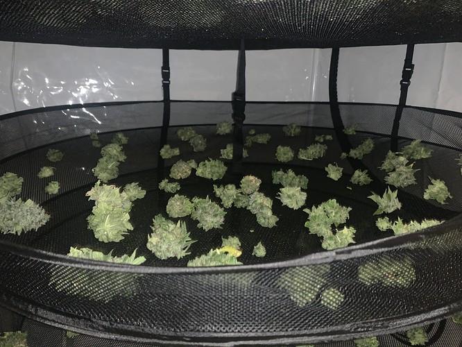 Growreport Bild 9