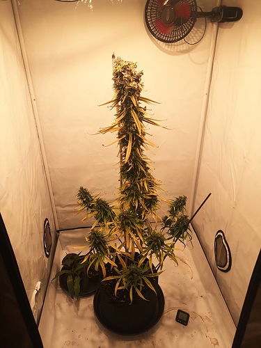 Growreport Bild 9