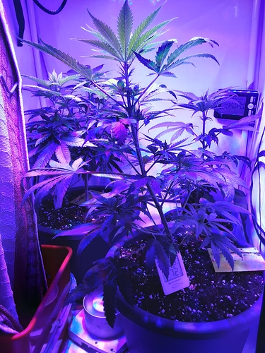 Growreport Bild 22