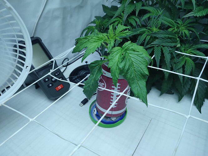 Growreport Bild 32