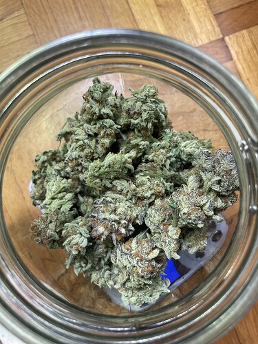 Growreport Bild 2
