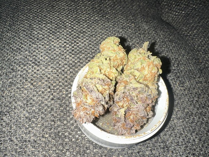 Growreport Bild 4