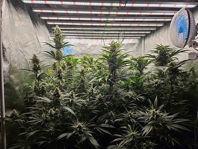 Growreport Bild 23