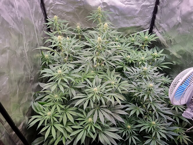 Growreport Bild 22