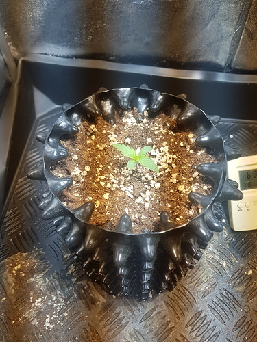 Growreport Bild 13