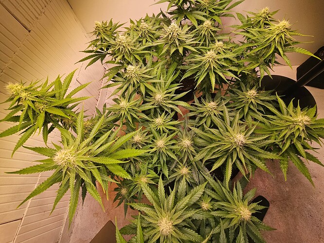 Growreport Bild 19