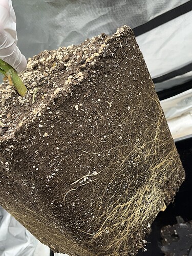 Growreport Bild 16