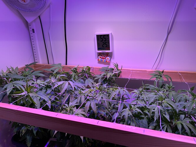 Growreport Bild 11