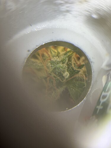 Growreport Bild 4