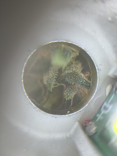 Growreport Bild 6