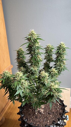 signal-2022-10-24-210522_004