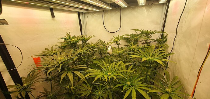 Growreport Bild 9