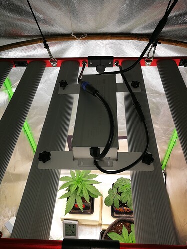 Growreport Bild 8