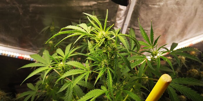 Growreport Bild 24