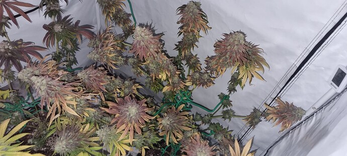 Growreport Bild 16