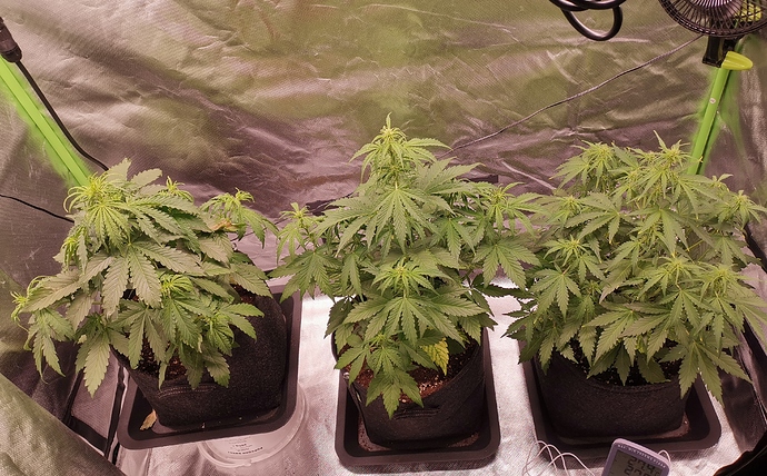 Growreport Bild 8