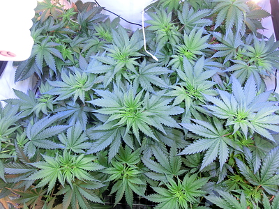 CIMG3045