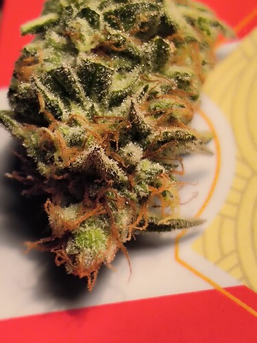 Growreport Bild 16