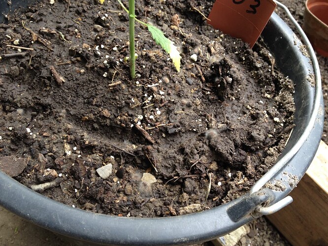 Growreport Bild 20