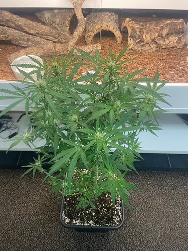 Growreport Bild 18