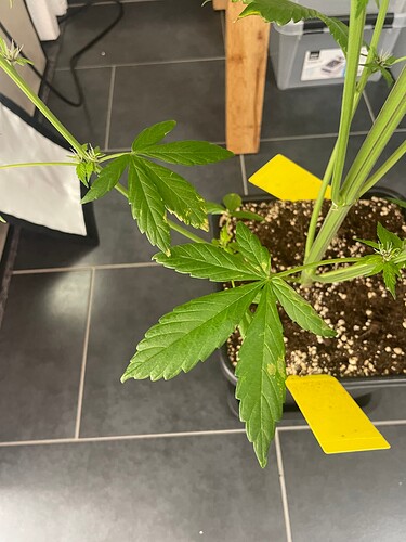 Growreport Bild 26