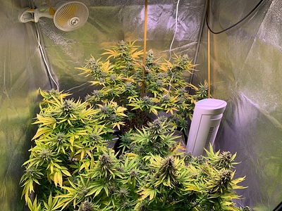 Growreport Bild 2