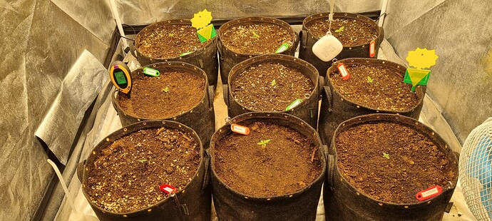 Growreport Bild 6